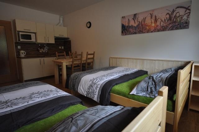 Apartment Lipno 22, 24 Lipno nad Vltavou