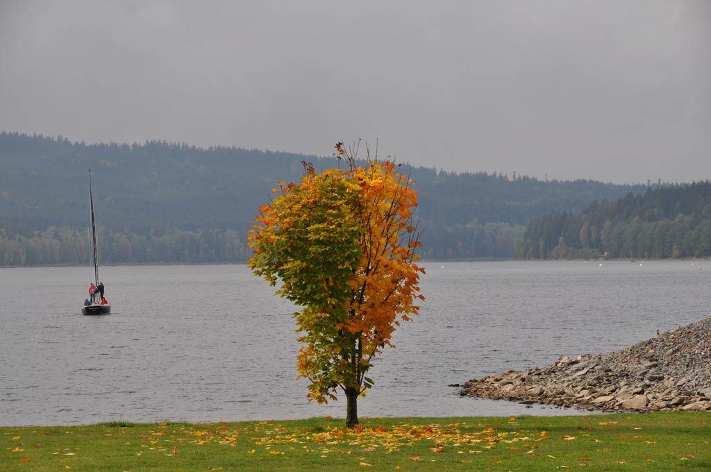 Lipno 22, 24